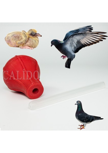 Güvercin Yavru Büyütme Besleme Pompası Kuş Besleme Pompası Yavru Besleme 1 Adet