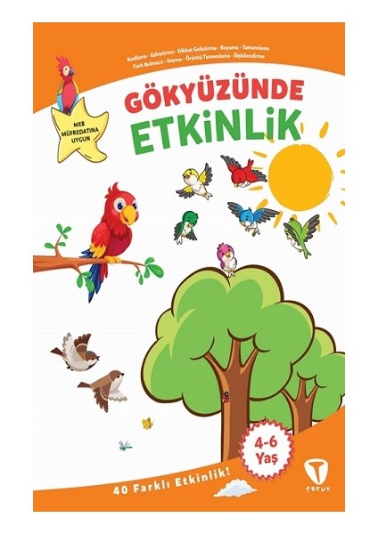 Gökyüzünde Etkinlik