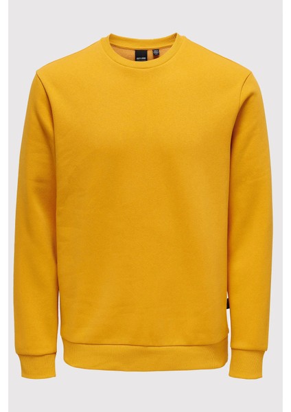 Onsceres Pamuklu Regular Fit Bisiklet Yaka Sweat Erkek Sweat 22018683