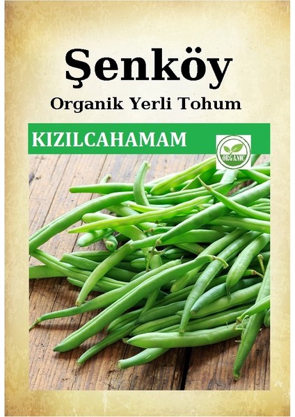Sırık Kızılcahamam Mor Fasulye Tohumu Doğal Ata Kılçıksız Fasulye Tohumu Pakette 25 gr