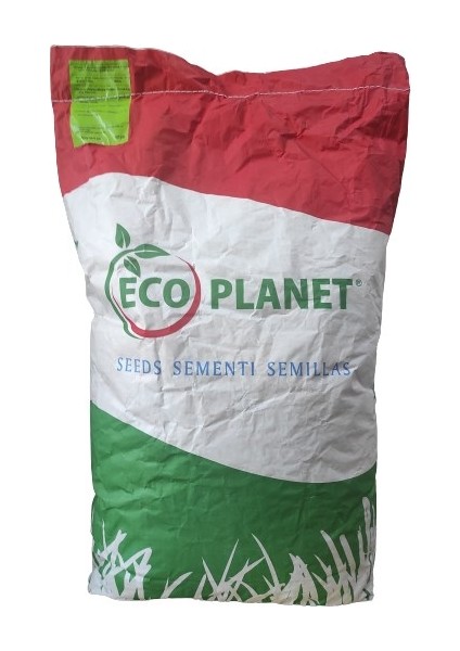 Ithal Çim Tohumu 1 Kg Eco Planet 6'lı Karışım