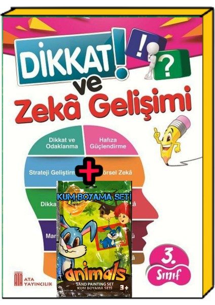 3. Sınıf Dikkat Ve Zeka Gelişimi