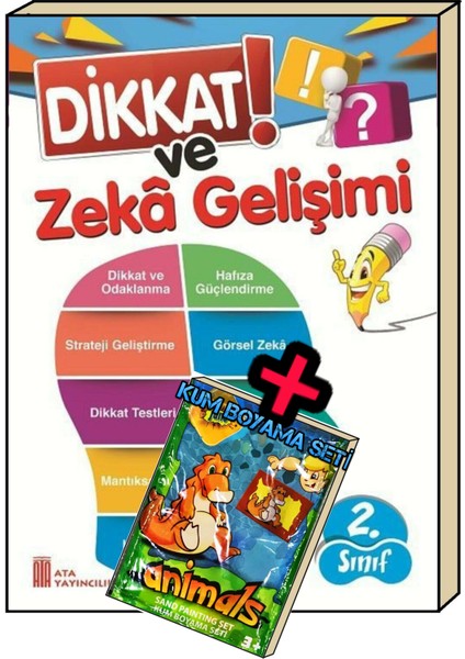 2. Sınıf Dikkat Ve Zeka Gelişimi