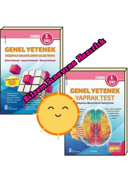 2. Sınıf Genel Yetenek Bilsem Düşünce Becerilerini Geliştirme