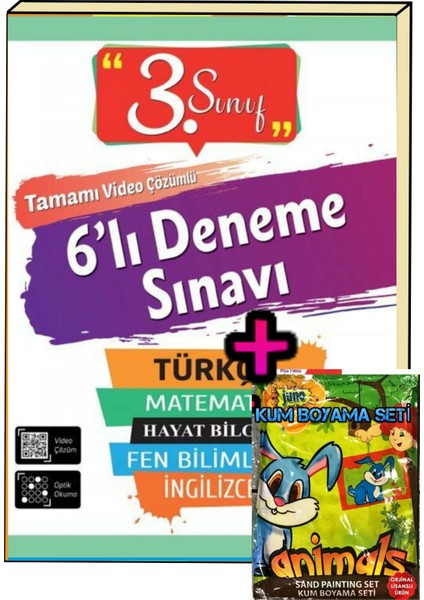 3. Sınıf 6'lı Poşet Deneme Sınavı