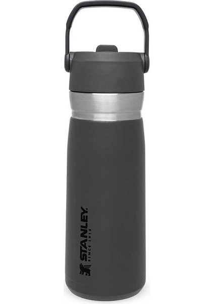 The Iceflow Pipetli Paslanmaz Çelik Soğuk Su Termosu 0.65 Lt