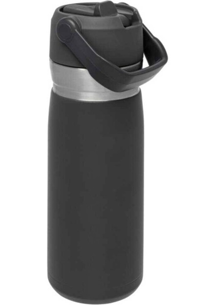 The Iceflow Pipetli Paslanmaz Çelik Soğuk Su Termosu 0.65 Lt modelleri