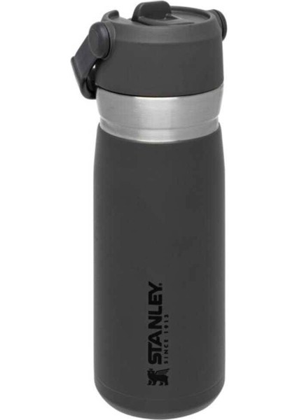 The Iceflow Pipetli Paslanmaz Çelik Soğuk Su Termosu 0.65 Lt fırsatları