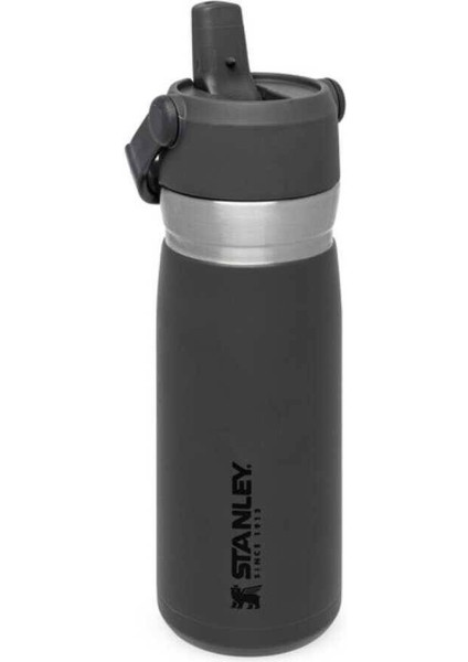 The Iceflow Pipetli Paslanmaz Çelik Soğuk Su Termosu 0.65 Lt indirimleri