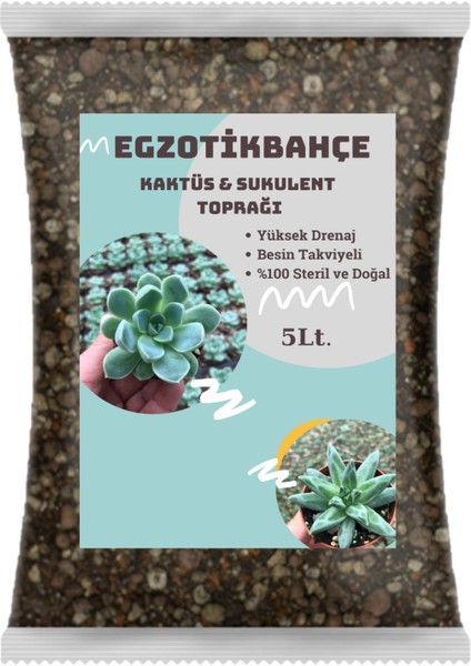 Egzotikbahçe Torf Kaktüs Sukulent Toprağı 5 L. Besin Takviyeli Profesyonel Karışım Toprak