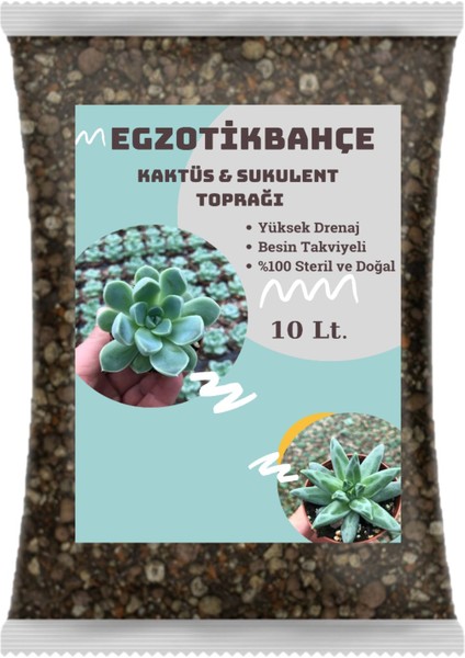 Egzotikbahçe Torf Kaktüs Sukulent Toprağı 10 L. Besin Takviyeli Profesyonel Karışım Toprak