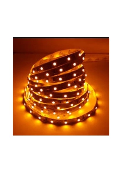 CT-4492 10ç Dış Mekan Amber LED Şerit5 Mt-5'li Cata