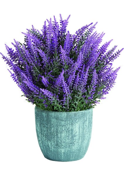 Dükkansenin Nadir Mis Kokulu Ingiliz Lavanta Çiçeği Tohumu 20'li