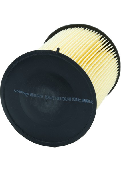 Ford Focus Iii 1.6 Ecoboost 2010-2019 Hava Filtresi