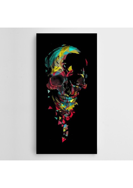 Renkli Kuru Kafa Panoramik Kanvas Tablo