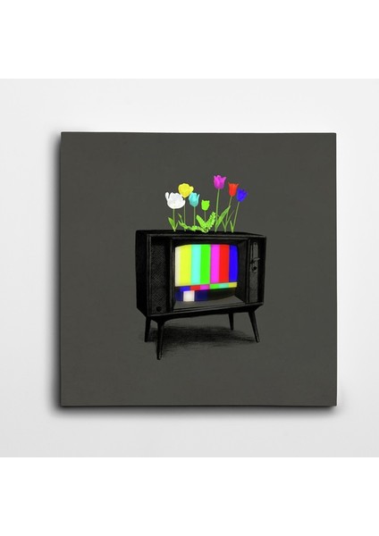 Televizyon Kare Kanvas Tablo