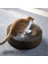 Kediler Scratcher Tahtası Kedi Oluklu Kağıt Oyuncaklar Kurulu Yavru Scratcher Giymek Direnç Çizik Yuva Ovalar Pet Malzemeleri | Mobilya ve çizikler (Yurt Dışından) 2
