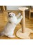 Küçük Masif Ahşap Kedi Basit Sisal Kedi Ağacı Malzemeleri Oyuncak Sütun Kedi Scratcher Kedi Yalan Çerçeve (Yurt Dışından) 5