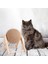 Ahşap Kedi Scratchers Top Oyuncaklar Sisal Board Scratcher Kedi Taşlama Paws Pençeleri Bakım Oyuncak Sandalye Kanepe Koruma Ürün | Mobilya ve çizikler (Yurt Dışından) 3