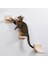 1 Adet Kedi Scratcher Merdiven Duvar Montaj Tırmanma Raf Pet Kedi Yaratıcı Kitten Oyuncaklar | Mobilya ve çizikler (Yurt Dışından) 4