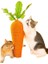 Kedi Sütun Kedi Malzemeleri Modelleme Oyuncaklar (Yurt Dışından) 1