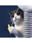 Kedi Scratcher Karton Oval Oluklu Çizik Pedi Kedi Kazıma Salonu Yatak Dayanıklı Geri Dönüşüm Kurulu Kedi Scratcher Bowl | Mobilya ve çizikler (Yurt Dışından) 3