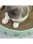Oluklu Kedi Kurulu Kediler Için Katkıcı Katılım Penileri Mobilya Çizikler Hayvanlar Için Mallar Kedi Oyuncaklar Tırnak Scratcher Bed Kittens Kaktüs | Mobilya ve çizikler (Yurt Dışından) 3