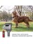 Dyson V15 V11 V10 V8 V7 V6 Elektrikli Süpürge Hızlı Bırakma Dönüştürücü Adaptör Için Köpek Bakım Seti Eki (Yurt Dışından) 3