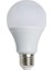 12 Watt 1100 Lümen E27 Duylu Beyaz Işık Dimmerli LED Ampul CT-4278 1