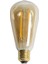6 Watt 540 Lümen E27 Duylu 2700 Kelvin Rustik Uzun Filament Ampul (CT-4284) 2