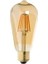 6 Watt 430 Lümen E27 Duylu 2700 Kelvin Dimmerli Rustik Uzun Filament Ampul (CT-4313) 1