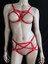 Harness Braset 4