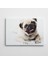 Sevimli Pug Kanvas Tablo 1