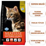 Yeni Koleksiyon