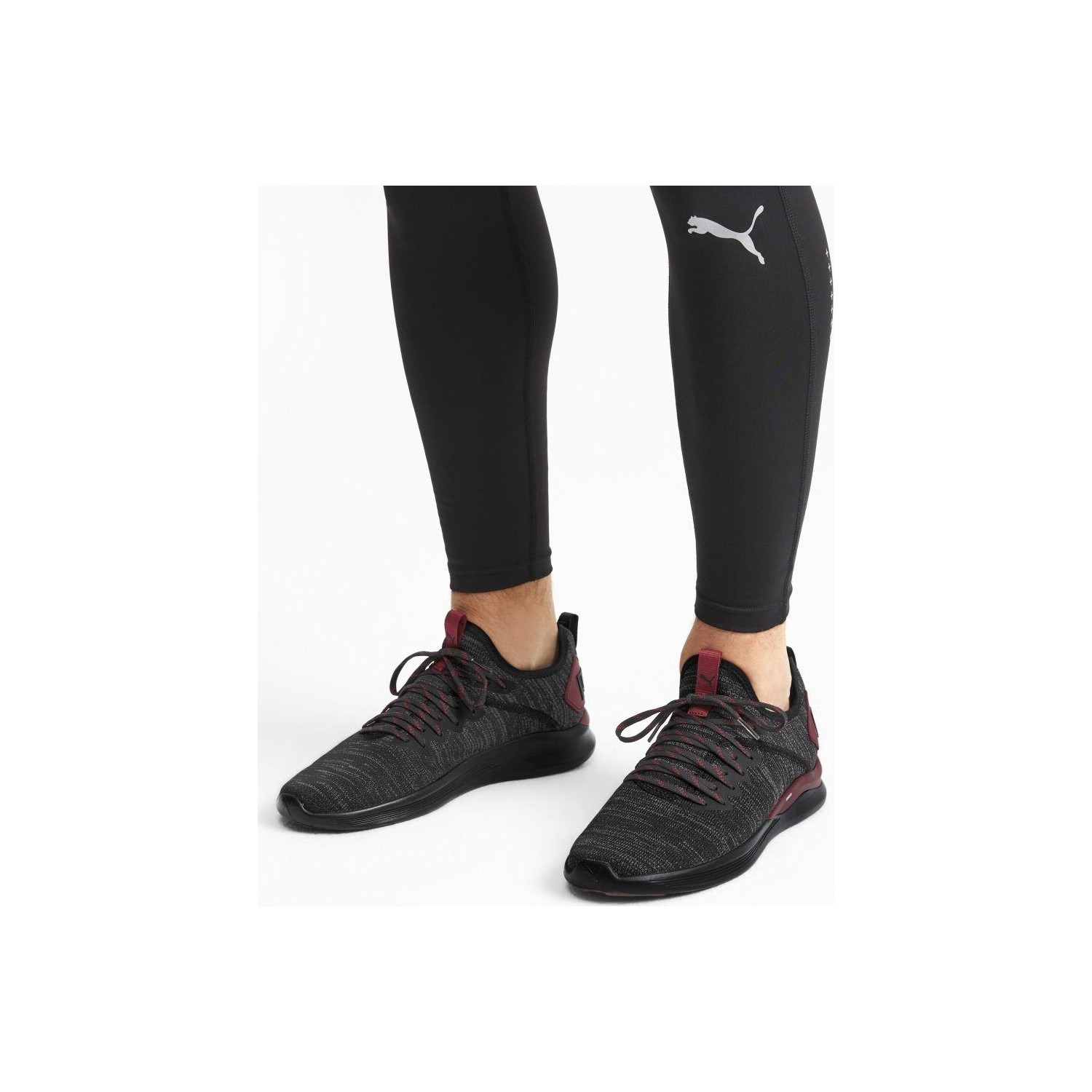 puma 190508