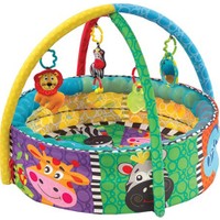 Playgro Top Havuzu Oyun Halısı