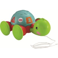 Fisher Price Çek-Çek Kaplumbağa