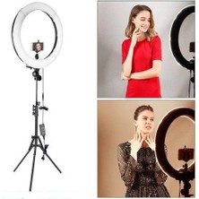 Gringo 10" Kuaför Makyaj Youtube Çekimleri Ring Light Sürekli 10 Inç Işık 2m Stand