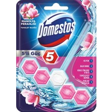 Domestos Wc Blok 5'li Güç Manolya 4'lü Set