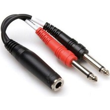 Hosa 1/4'' Trs (F) <-> Dual 1/4'' Ts (M) Stereo Breakout Kablo