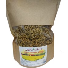 İksirli Çiftlik Kuru Mürver Çiçeği 100 gr