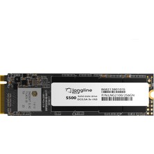 Longline 256GB NVMe M.2 Sata SSD 2100MB/s 1300MB/s LNG2100/256GN