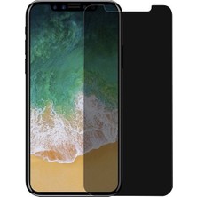 CoverZone Samsung Galaxy A80 Gizli Görünmez Lively Temperli Ekran Koruyucu Siyah + Dokunmatik Kalem