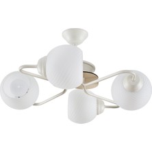 Begüsa Enis 4'lü Beyaz Akça Ahşaplı Camlı Avize