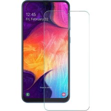 Tekno Grup Samsung Galaxy A10 Cam Ekran Koruyucu