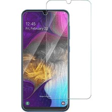 Tekno Grup Samsung Galaxy A20e Cam Ekran Koruyucu