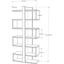 Decorotika Ionis Kitaplık