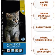 Matisse Kitten Kuru 10 Kg Yavru Kedi Maması