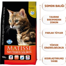 Matisse Neutered Salmon Kısırlaştırılmış Somonlu 10 kg Yetişkin Kuru Kedi Maması