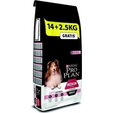 PRO PLAN® Medium Adult Somonlu Köpek Maması 14 Kg +2.5 Kg HEDİYE